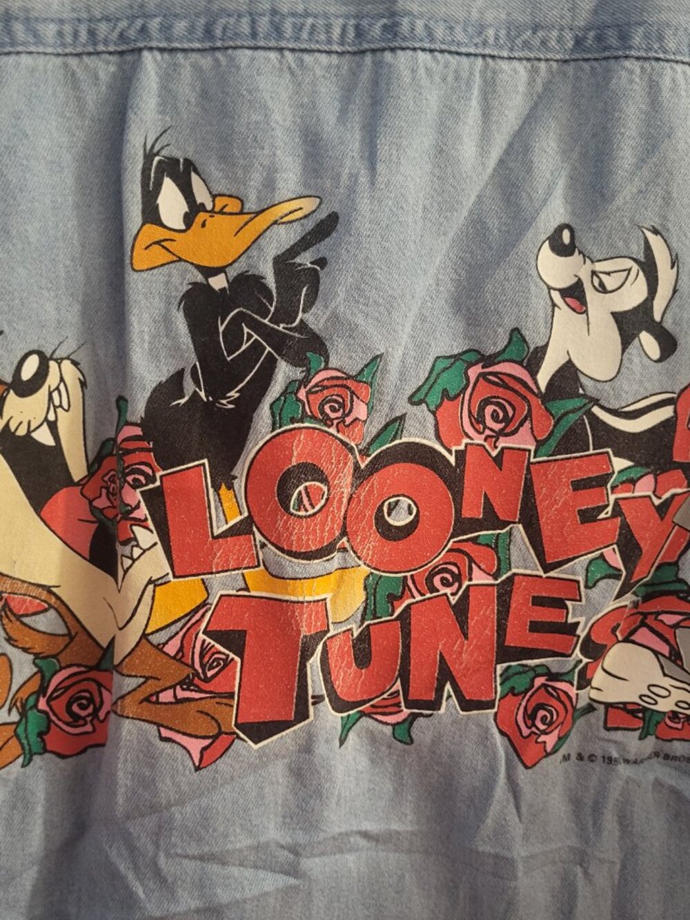 Vtg 90s Looney Tunes "Rose Motif" Denim Shirt - Warner Bros. Studio - Size S